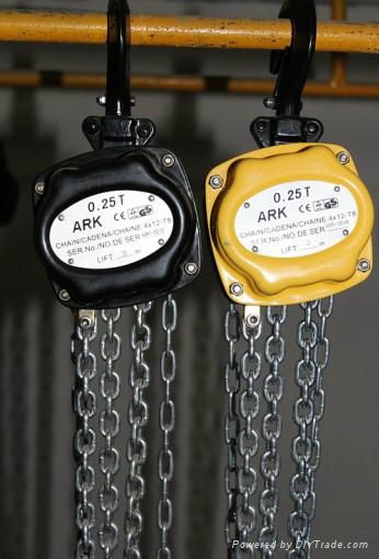 DE mini chain hoist 3 meters