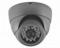 Fixed Lens Dome IP Camera