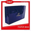 glossy-paper-shopping-bag 2
