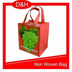  Non Woven Bag