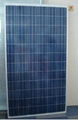 280W-310W Polycrystalline Silicon Solar Panel 3