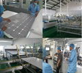 230W-250W Polycrystalline Silicon PV Solar Panel for off Grid Solar Power System 4