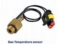 CNG/LPG Gasoline engine Gas temperature sensor for conversion kits 1