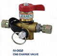 CNG Charge Valve (20MPa CNG auto parts