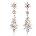 Zircon stud earrings  1