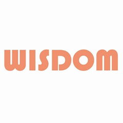 中孚能WISDOM品牌KL4MS矿灯11000lux