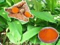 Curcumin 1