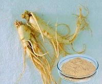 Ginseng Extract