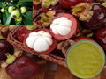 Mangosteen Extract 1