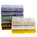 New Soft Absorbent 100% Egyptian Bamboo Fiber Luxury Stripe Hand Sheet Towels 2