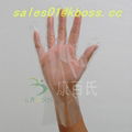 disposable PE gloves 1