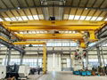 New Chinese style double beam winch crane 5