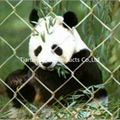 Chain link wire mesh fence 1