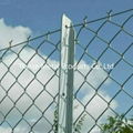 Chain link wire mesh fence 5