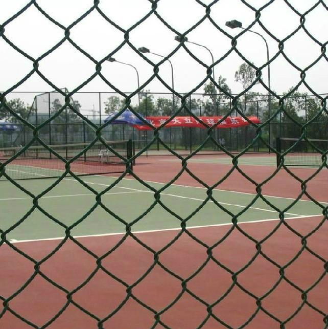 Chain link wire mesh fence made in China 5