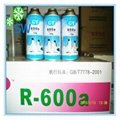 refrigerant gas r600a 4