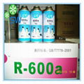 Mixed refrigerant gas r600a 4