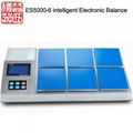 ES5000-6 intelligent Electronic Balance 1