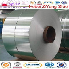 Superior ASTM 201 Stainless Steel Coil