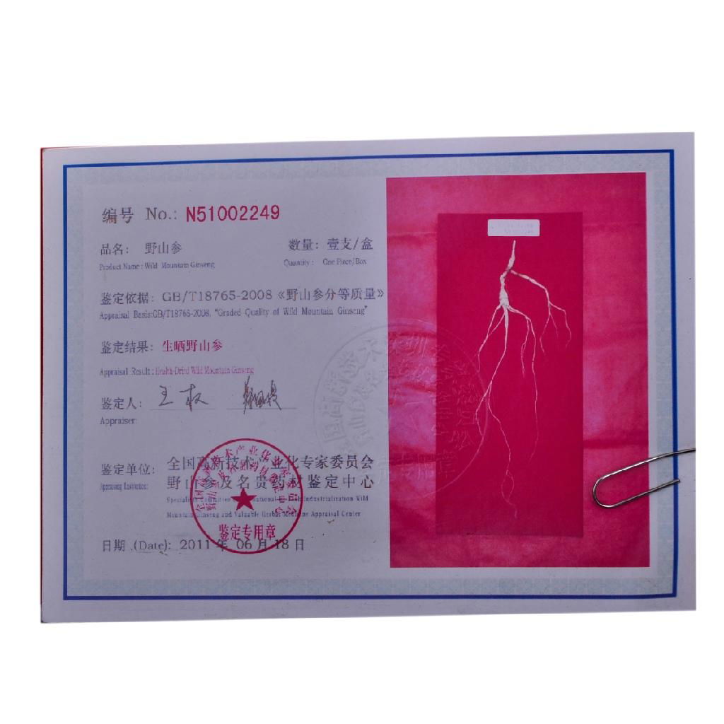 ZhenBaoTang Changbai Mountain Wild Ginseng 3g 2