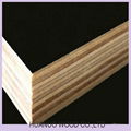 chinese brown film faced plywood