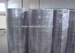 Stainless Steel Wire Cloth Anping Factory