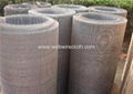 Stainless Steel Wire Cloth Anping Factory 4
