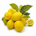 檸檬水果