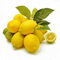   Lemon products