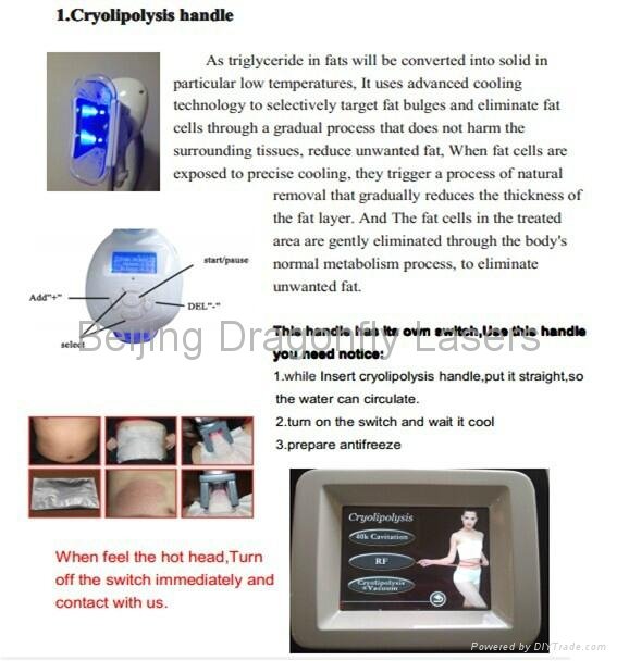 effective result cryolipolysis cavitation vacuum rf for fast body weight loss 2