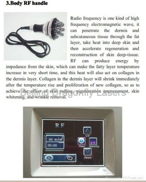 effective result cryolipolysis cavitation vacuum rf for fast body weight loss 3
