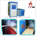 User Praised high frequency induction heater