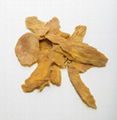 Dried Mango 3