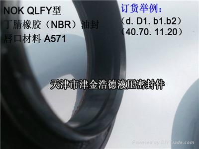 青海進口QLFY型NOK油封 3