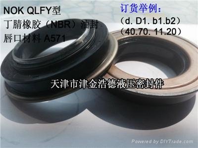 青海進口QLFY型NOK油封 4