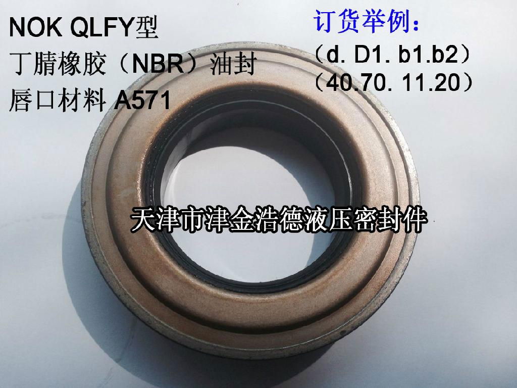 臺灣YEI品牌QLFY型端軸骨架油封