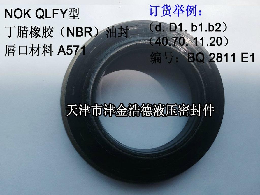 臺灣YEI品牌QLFY型端軸骨架油封 2