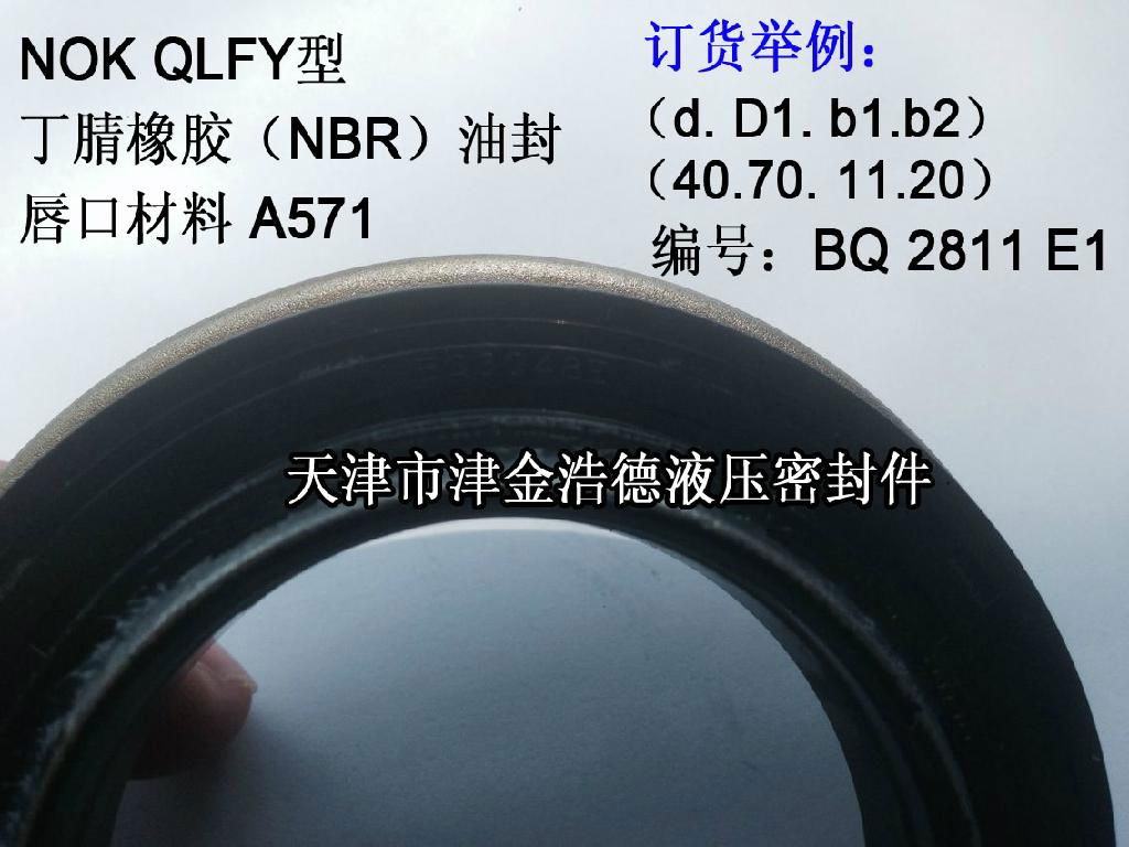 臺灣YEI品牌QLFY型端軸骨架油封 3