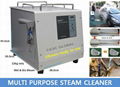 Steam car wash machine 1