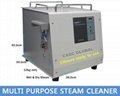 industrial steam cleaner 1
