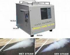 easy cleaning korea golf club steam cleaner