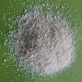 Polyglutamic acid food grade