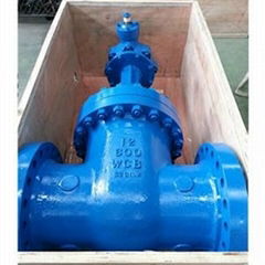 Cast Steel Globe Valve