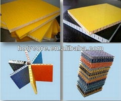 Fiberglass  sandwich panel with