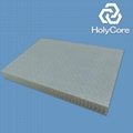 light weight Polypropylene honeycomb sandwich panel (Holypan) 3