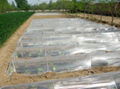 plastic mulching film for agricultural