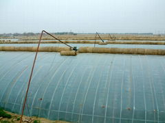 Transparent Plastic Film for Greenhouse