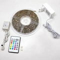 TUV-GS RGB Basic sets led tape light BSCI supplier 2