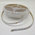 TUV-GS RGB Basic sets led tape light BSCI supplier 4