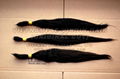 Vietnamese remy double drawn hair 70cm,